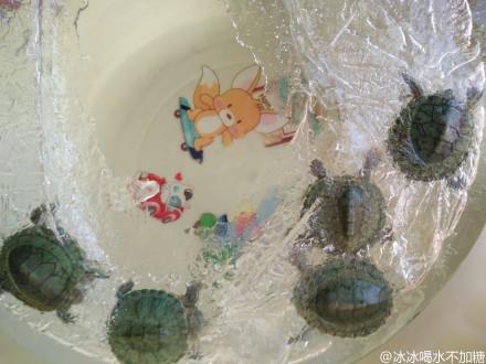 (Screen shot/Sina Weibo)