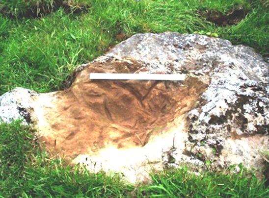 An example of basins found near rocks that look like human faces or animals on the Azores islands. (Courtesy of Antonieta Costa)