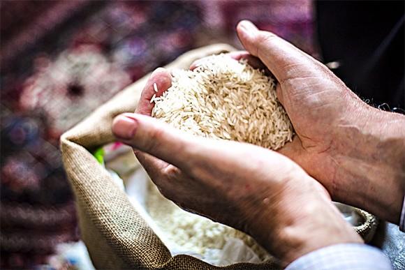 Rice is a staple for nearly half of the world's population, and demand for the nourishing carbohydrate is only rising. (Samira Bouaou/Epoch Times)