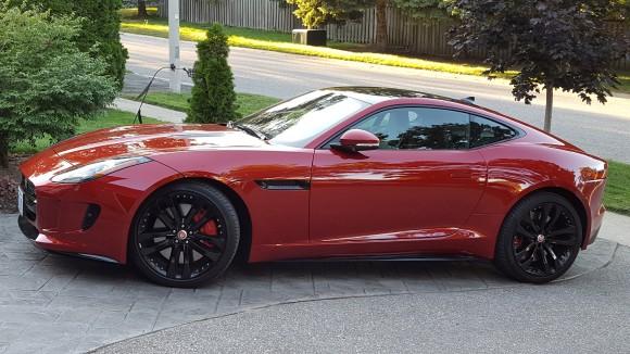 Jaguar (David Taylor)