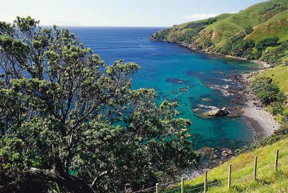 One of many beautiful vistas along the Coromandel coastline. (The Coromandel)