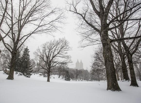 Central Park in New York on March 14, 2017. (Samira Bouaou/Epoch Times)