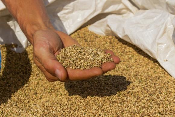 (matteo sani/shutterstock)