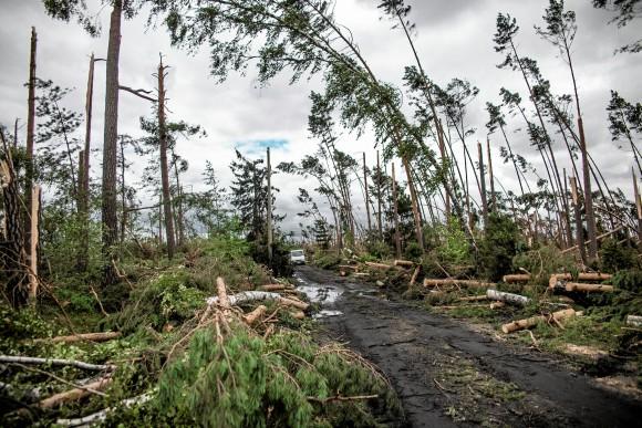 Broken trees are seen after a powerful storm near the village of Szuszek in northern Poland August 12, 2017. Picture taken August 12, 2017. (Agencja Gazeta/Renata Dbrowska via Reuters)