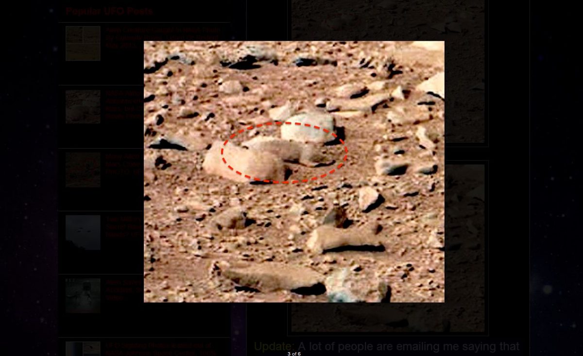 Mars Rat: Website Claims Rodent on Red Planet | Fox News | NASA | space ...