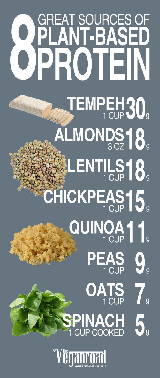 8 Great Sources of Plant Based Protein (Infographic) | protein | The ...