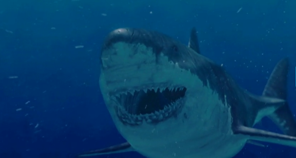 Megalodon Alive? Shark Week Programs Claim the Monster Shark Possibly
