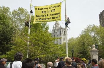 NYC’s Rainforest Wood Protested with Poll Climb (Photo) | The Epoch Times