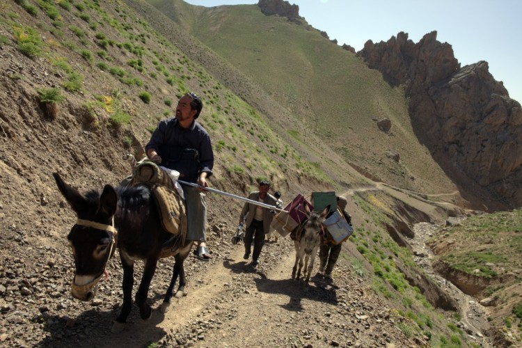 Dr. Basir Ahmad Jaghori (R) rides a donkey with his medical team to the top of the mountain pass on a two hour trek June 9, 2011, heading to the mountain village of Raquol, in Panjab district, Afghanistan. (Paula Bronstein/Getty Images)