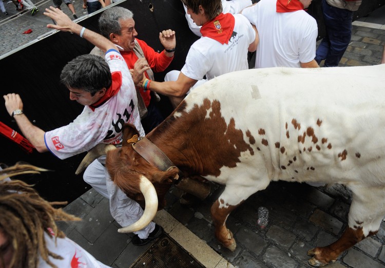 A man tries to avoid a steer that broke away from the pact of fighting bulls. (Dennis Doyle/Getty Images)