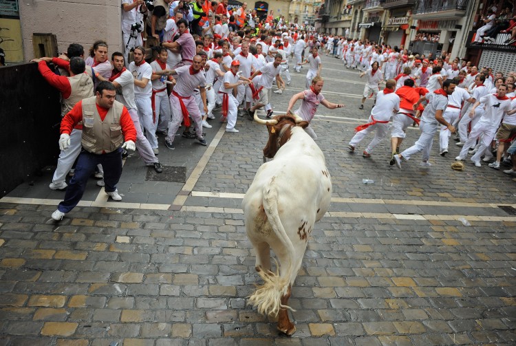 Runners scatter after a steer broke away from the pact of fighting bulls during the second day of the San Fermin running-of-the-bulls on July 7, 2011 in Pamplona. (Denis Doyle/Getty Images)