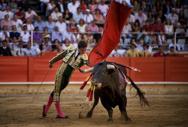 Bullfighter Julian Lopez 'El Juli' of Spain performs. (David Ramos/Getty Images)