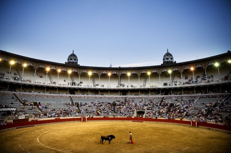 Bullfighter Jose Maria Manzanares performs in front of the crowd. (David Ramos/Getty Images)