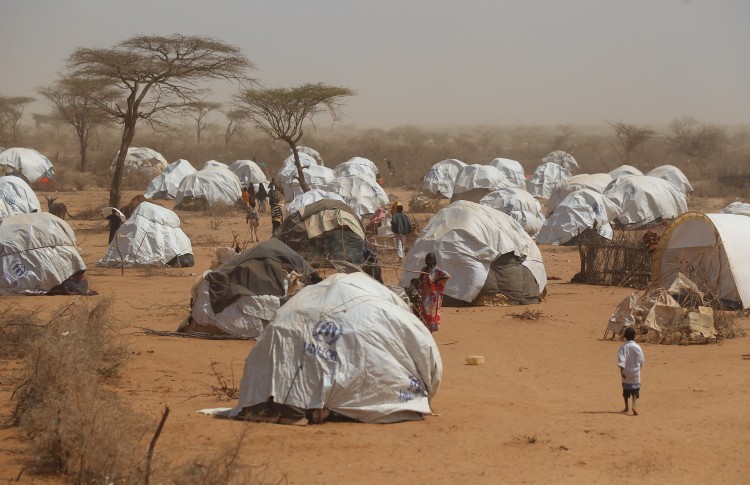 Newly arrived Somalian refugees settle on the edge of the Dagahaley refugee camp which makes up part of the giant Dadaab refugee settlement, on July 21, 2011, in Kenya.  (Oli Scarff/Getty Images)