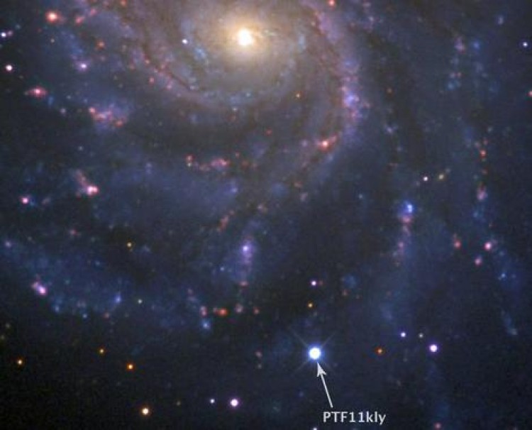 The supernova is in the pinwheel galaxy. (BJ Fulton/LCOGT)