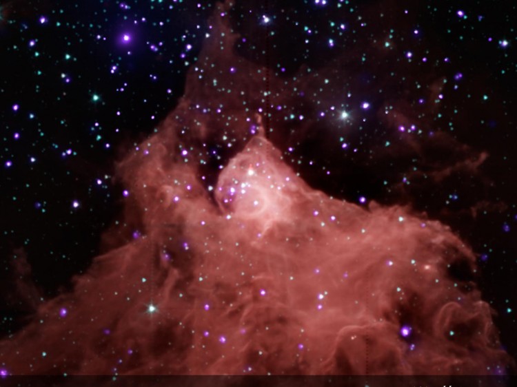 STAR FORMATION: Cepheus B is a molecular cloud about 2,400 light years from the Earth showing star formation. It contains dust and cool interstellar gas, mostly molecular hydrogen. This composite image from the Chandra X-ray Observatory (violet) and the Spitzer Space Telescope (red, green, and blue) shows the molecular cloud at the bottom of the image plus young stars in and around Cepheus B, and in the field. (NASA/CXC/PSU/K. Getman et al.; IRL NASA/JPL-Caltech/CfA/J. Wang et al.)