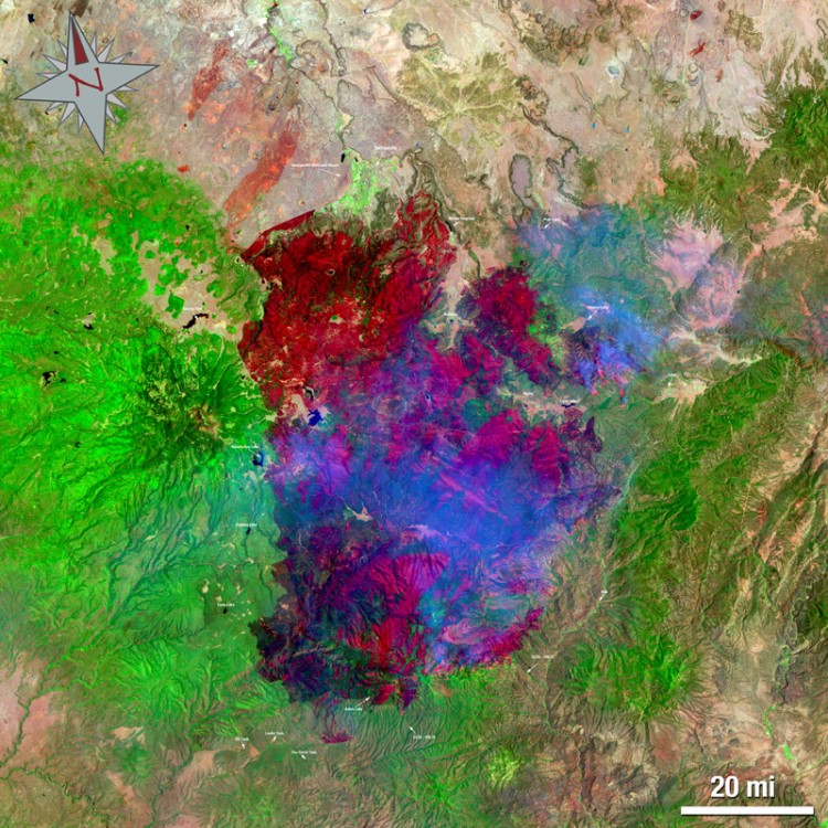 The Wallow North Fire in east central Arizona on June 15. This false-colored image uses a 7, 4, 2 band combination and shows the burn scar in red the fire ongoing in really bright red, vegetation is green, smoke is blue and bare ground is tan. (NASA/USGS, Mike Taylor)