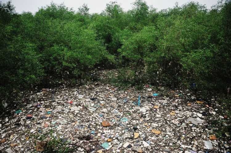 Rubbish floating on the Pearl River is seen in the mangrove woods at the Lianhuashan Mountain in Guangzhou of Guangdong Province, China. The Pearl River Delta is one of the most developed regions in China, which also led to heavy pollution of the environm (China Photos/Getty Images)