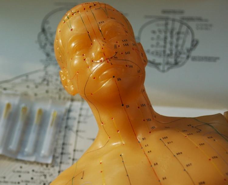 This model helps a trainee find and memorize acupuncture points.  (Cat Rooney/Epoch Times Staff)