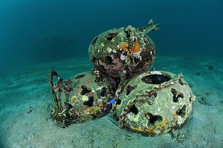 Reef Balls planted on the sea bed in Pemuteran, Bali, Indonesia. (Matthew Oldfield)