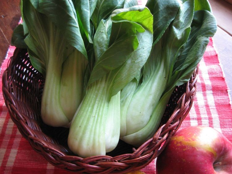 BABY BOK CHOY: The smaller varieties of bok choy are more valued in Asian countries for their tender leaves. (Maureen Zebian/The Epoch Times)