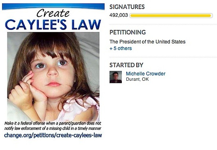 Cropped screenshot of the 'Create Caylee's Law' petition. (change.org)