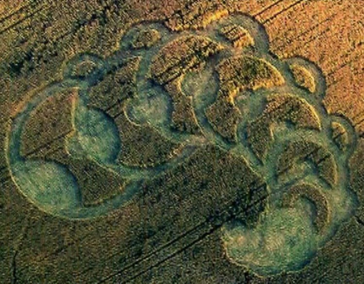 YouTube screenshot of a circular formation at Dobrovice in Czechoslovakia on July 10. (The Epoch Times)