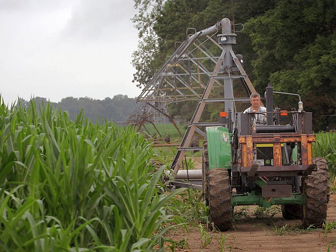 Jud Vaught moves an irrigation system in his cornfield on July 20, near Whiteland, Ind. According to some, farm subsidies are welfare for the wealthy, benefitting business enterprises that have a connection to a political party. (Scott Olson/Getty Images) 