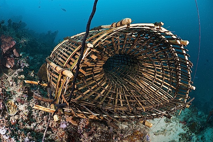 Traditional fish trap at Bangka in Sulawesi, Indonesia. (Matthew Oldfield)