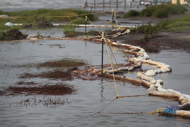 Oil coats plants and oil absorbent material as high winds and waves caused the cancellation of cleanup operations on the beach on July 7, 2010 in Port Fourchon, Louisiana. (Joe Raedle/Getty Images)