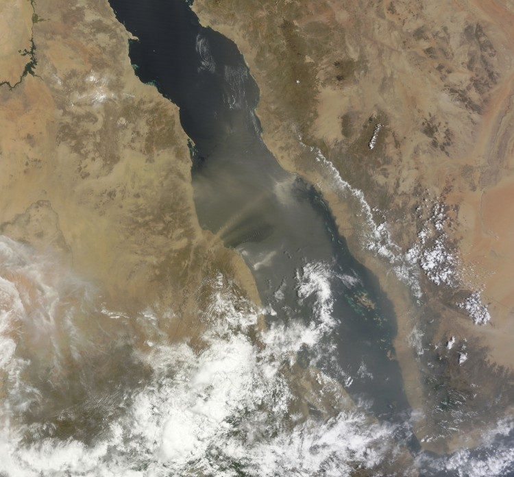 Natural-color image of dust plumes blowing off the coast of Sudan and across the Red Sea as seen by the MODIS on NASA's Terra satellite on Aug. 3. (NASA)