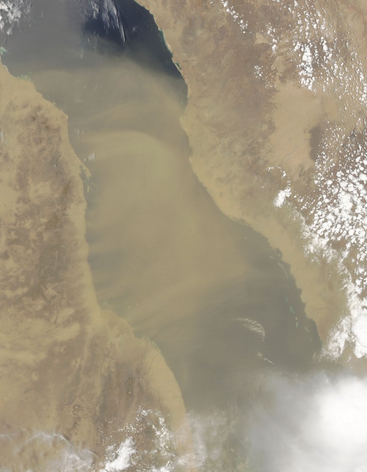 Natural-color image of dust plumes blowing off the coast of Sudan and across the Red Sea as seen by the MODIS on NASA's Terra satellite on Aug. 3. (NASA)