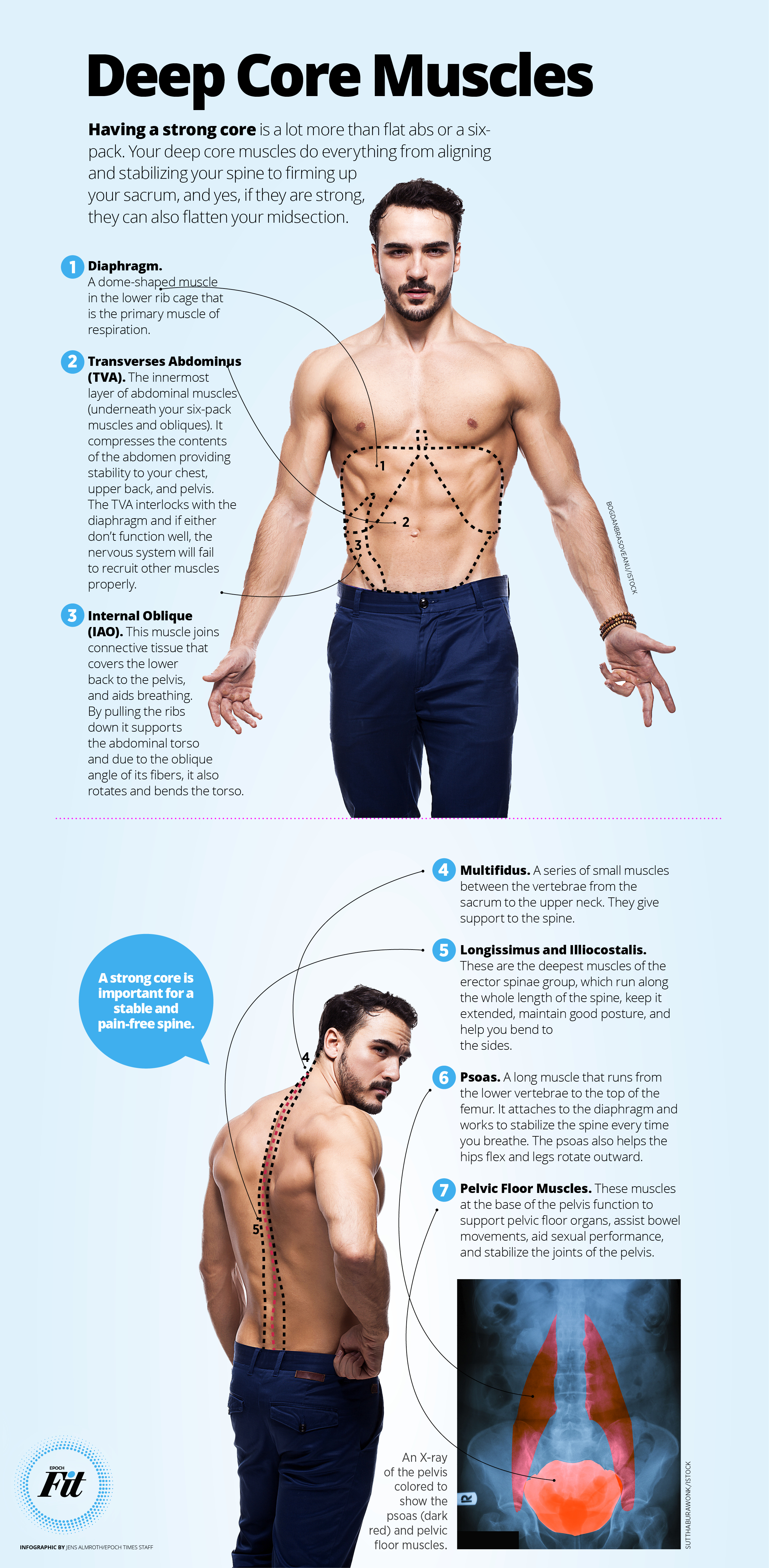 get-to-know-your-deep-core-muscles-infographic-strength-training