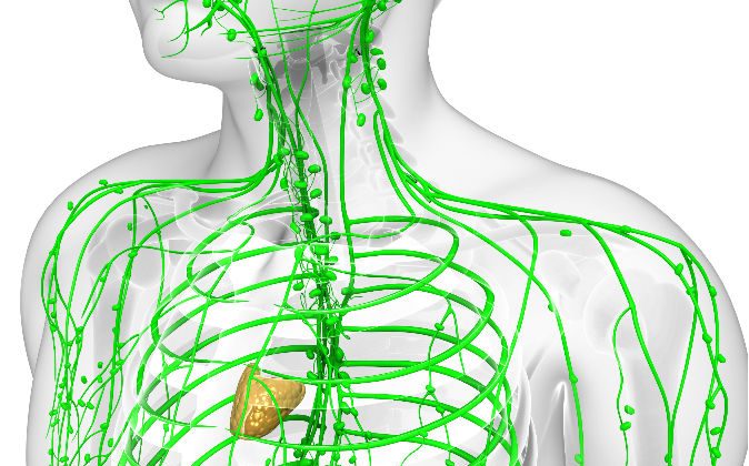 Signs of a Clogged Lymphatic System and 10 Ways to Cleanse It | The ...