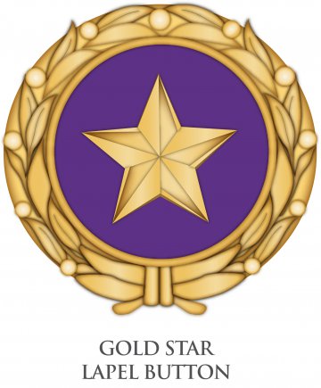 Gold Star Families: Honoring Those Who Make the Ultimate Sacrifice ...