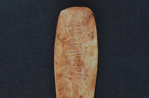 A "churinga stone" found at Hasankeyf, another 12,000-year-old site in Turkey left by the same vanished people. The carving resembles a double helix. (Courtesy of Bruce Fenton)