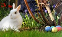 Couple Who Refused to Tell Foster Kids Easter Bunny Is Real Had Charter Rights Violated