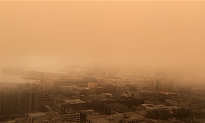 Wildfires Cover San Francisco in Massive Cloud of Ash and Smoke