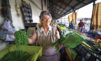 The Fierce Women of Bolhão