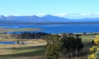 Tasmanian Buddhist and Community Leader Denies Links to Chinese Regime