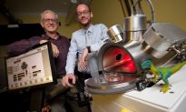 Canadian Researchers Testing Origins of Life Theory in New Planet Simulator