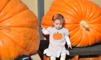 Oregon Man Wins 45Th Annual Pumpkin Weigh-Off in Half Moon Bay