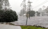 Videos of the Day: Powerful Hurricane Michael Bashes Florida Panhandle