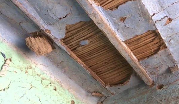 Ceiling with termite damage