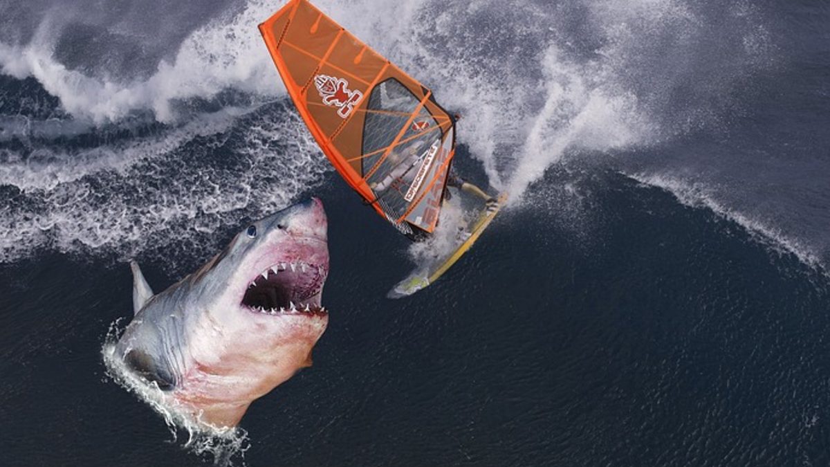 Inches Away From Being Devoured Photographer Captures Frightening Pictures Of Great White Shark