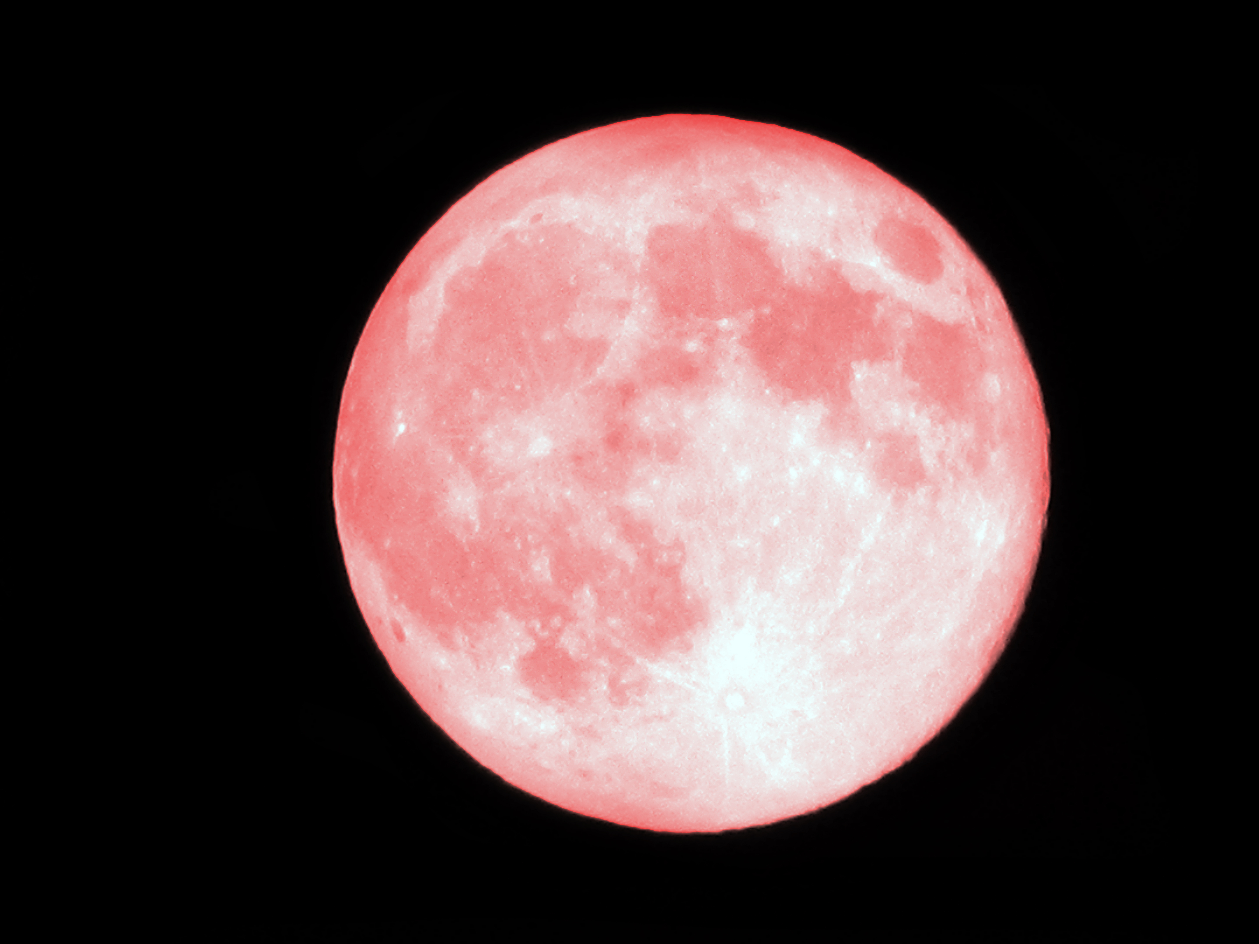 Pink Moon In April The Pink Moon Rises This Friday