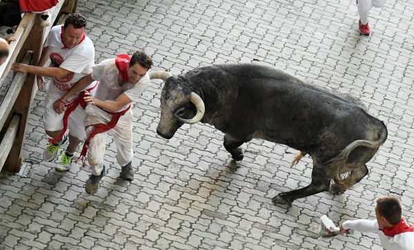 Homem morre após ser chifrado por touro em festival na Espanha