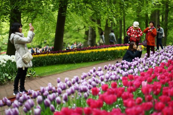 Netherlands tourists