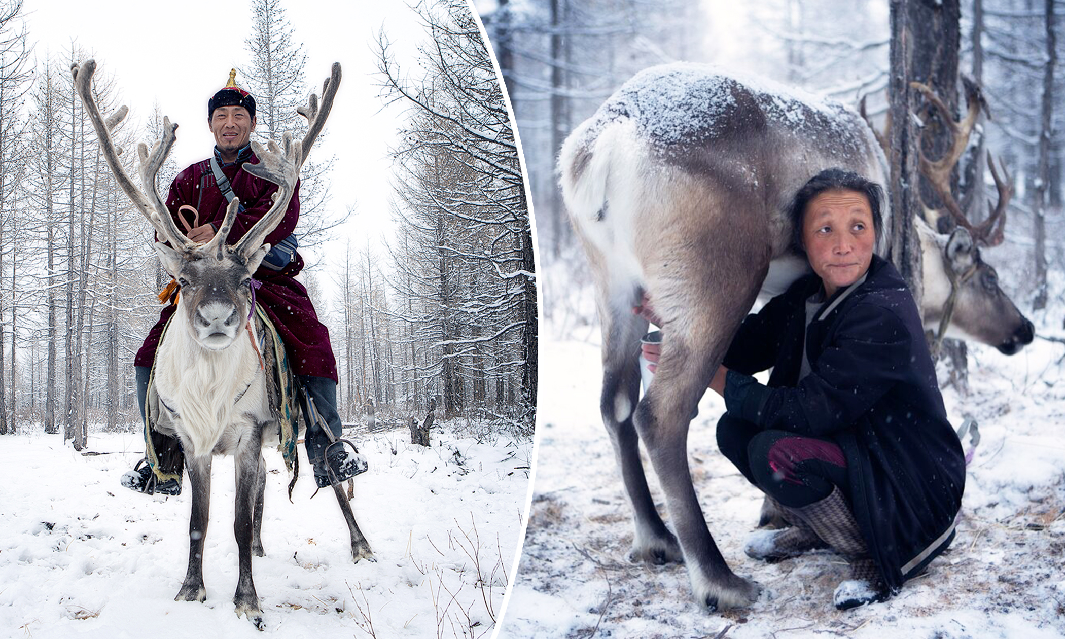 Photographers Capture Life of Reindeer Herders Living on the Mongolian-Siberian Border in Amazing Photo Series