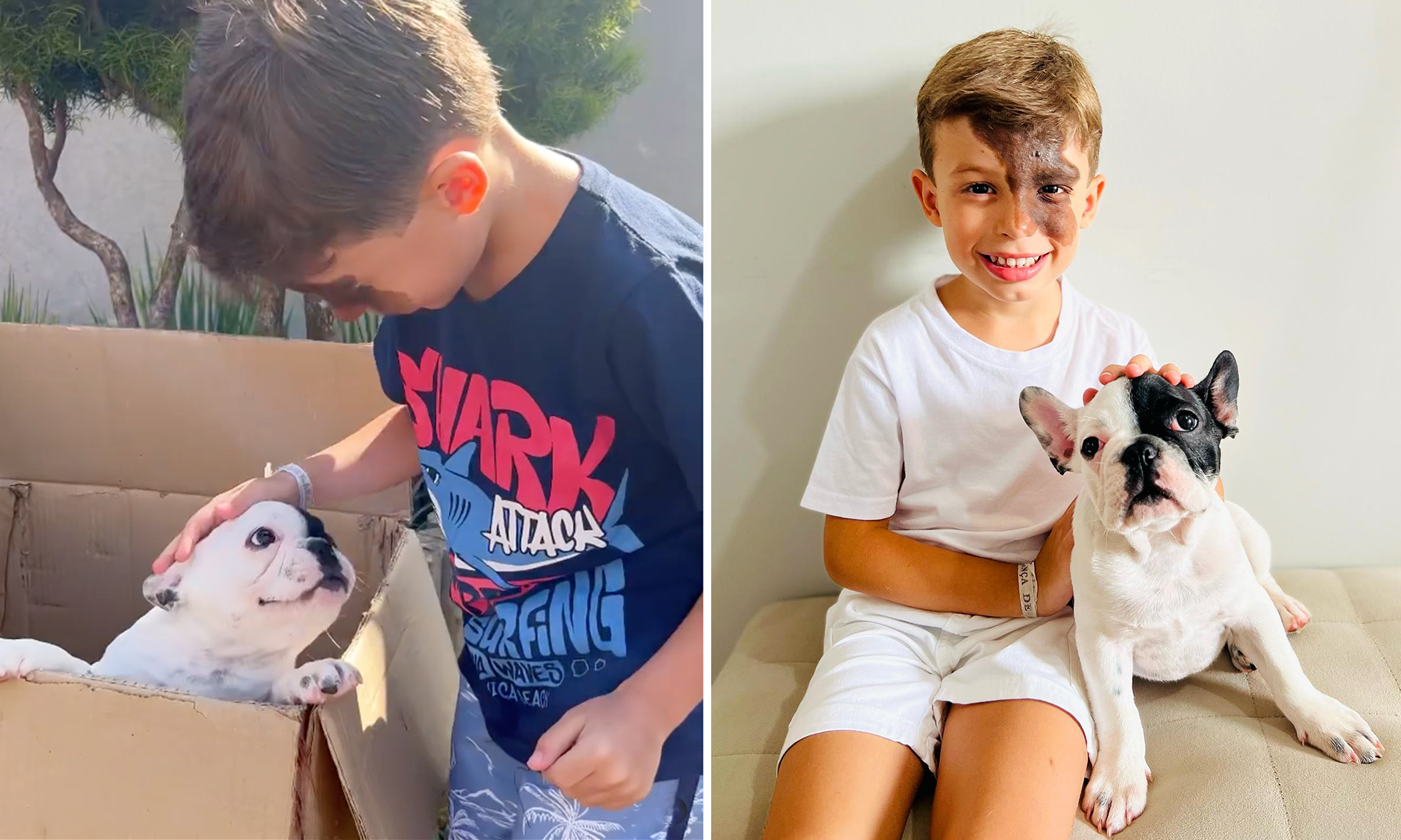 Parents Gift Son With a Unique Birthmark a Dog That Looks Exactly Like Him